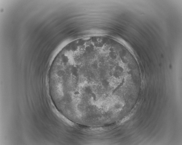 X0000078281243200611251410