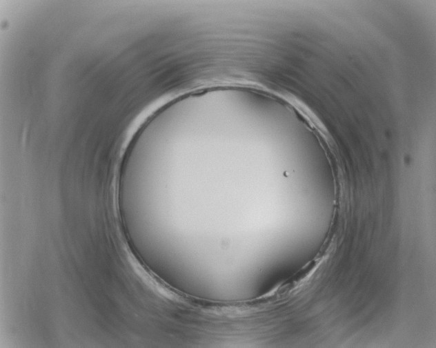 X0000078281246200611251410