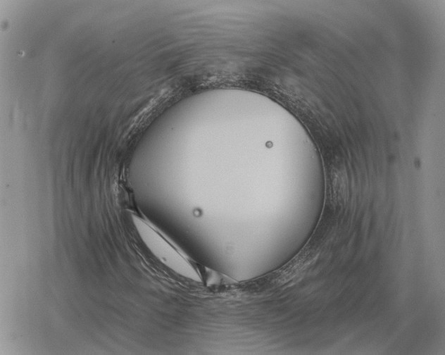 X0000078281250200611251409