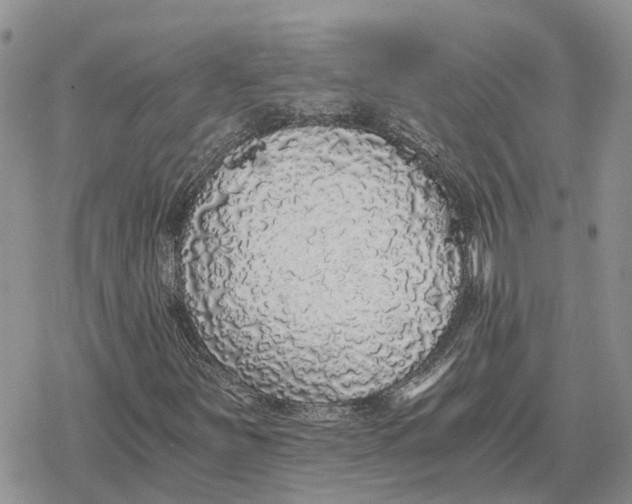 X0000078281251200611251409