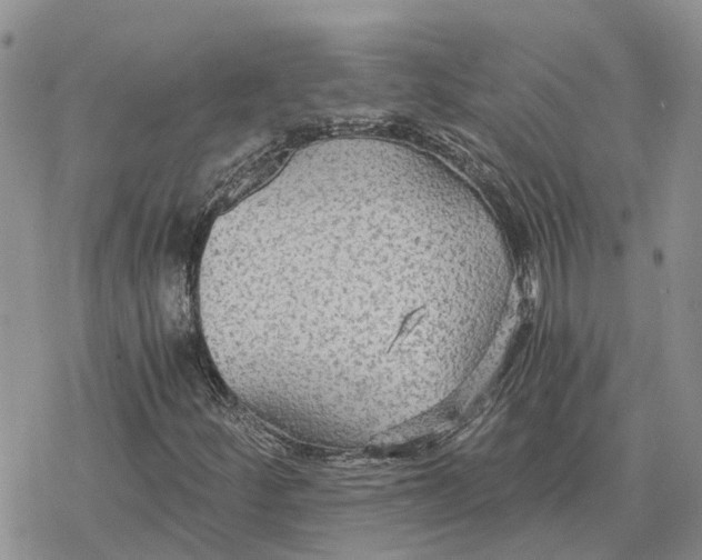 X0000078281252200611251409