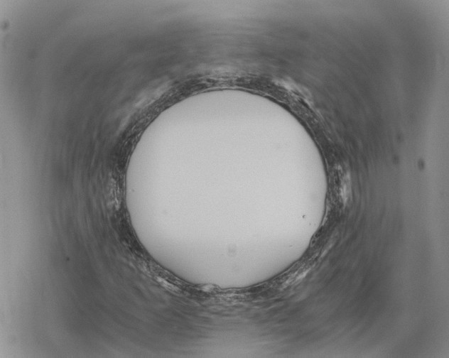 X0000078281253200611251409