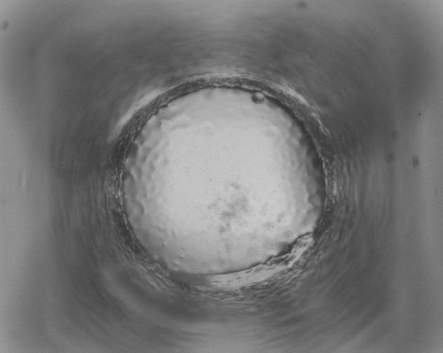 X0000078281255200611251409