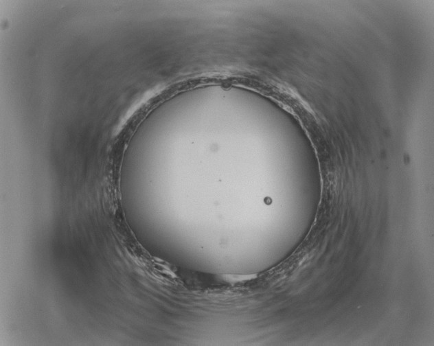 X0000078281256200611251409