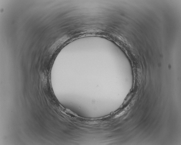 X0000078281257200611251409