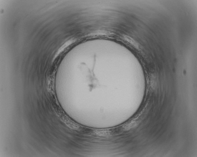 X0000078281258200611251409