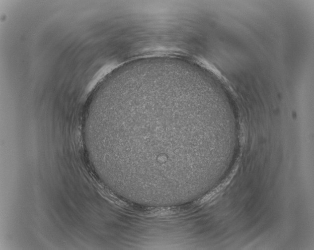 X0000078281259200611251409