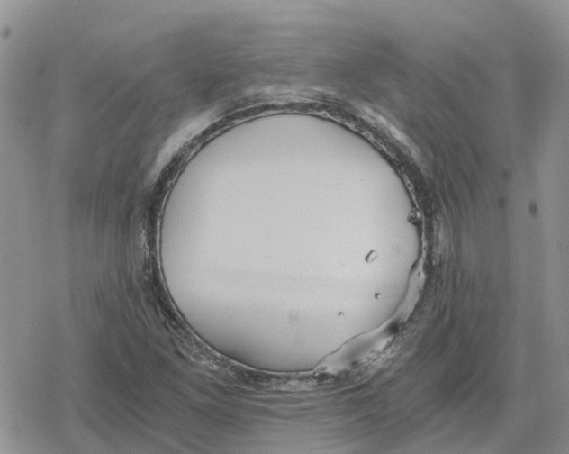 X0000078281261200611251409