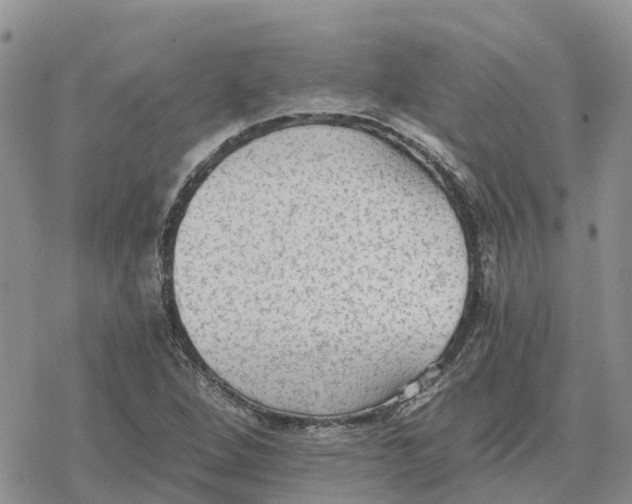 X0000078281264200611251409