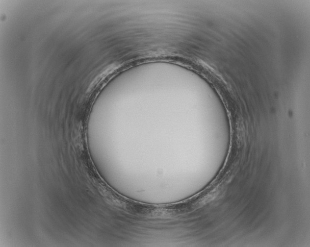 X0000078281265200611251409