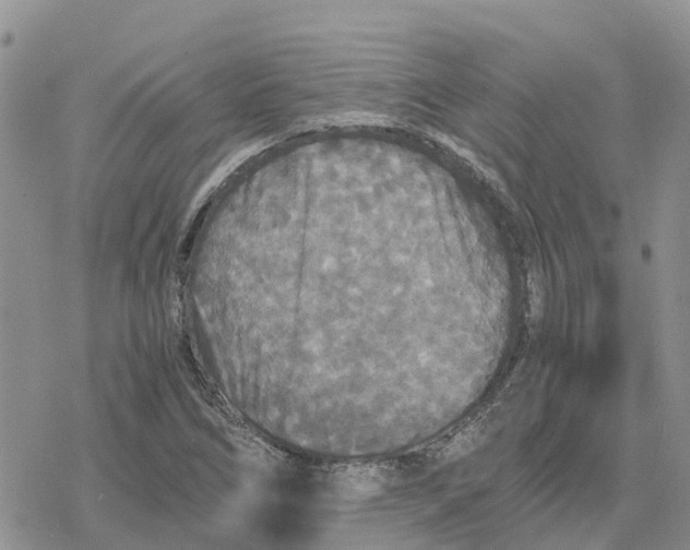 X0000078281266200611251409