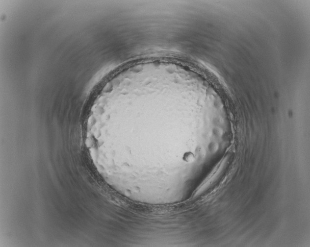 X0000078281267200611251409