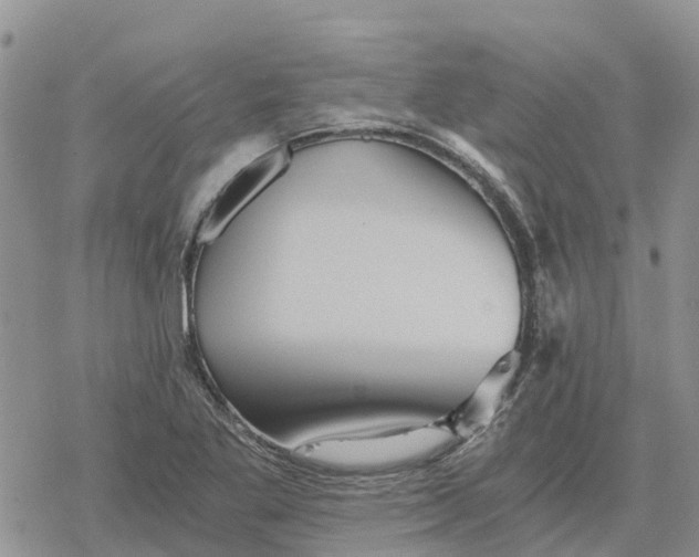 X0000078281269200611251409