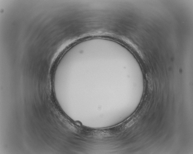 X0000078281270200611251409