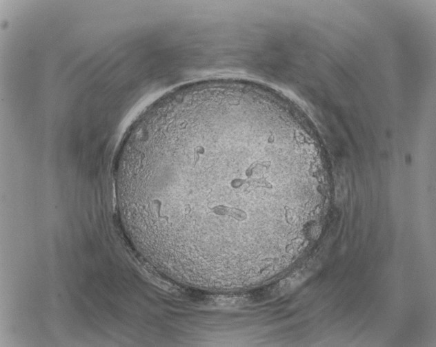 X0000078281271200611251409