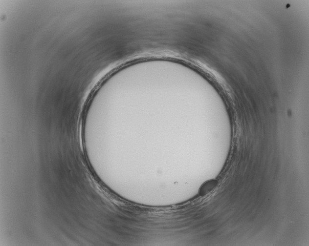 X0000078281272200611251409