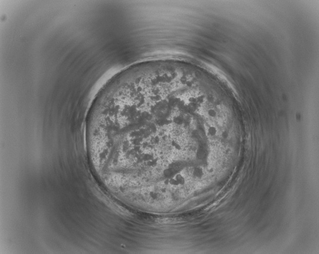 X0000078281275200611251409