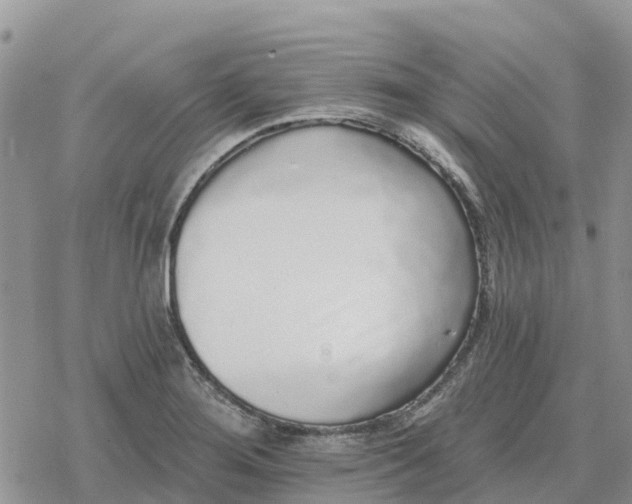 X0000078281276200611251409