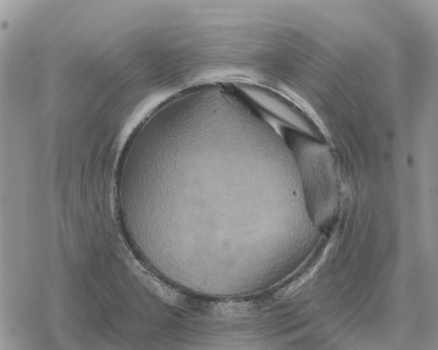 X0000078281277200611251409