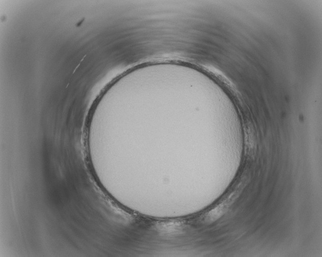 X0000078281278200611251409