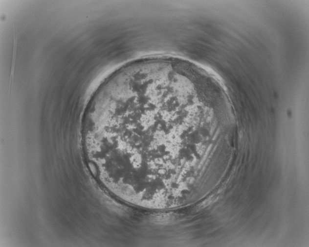 X0000078281279200611251409