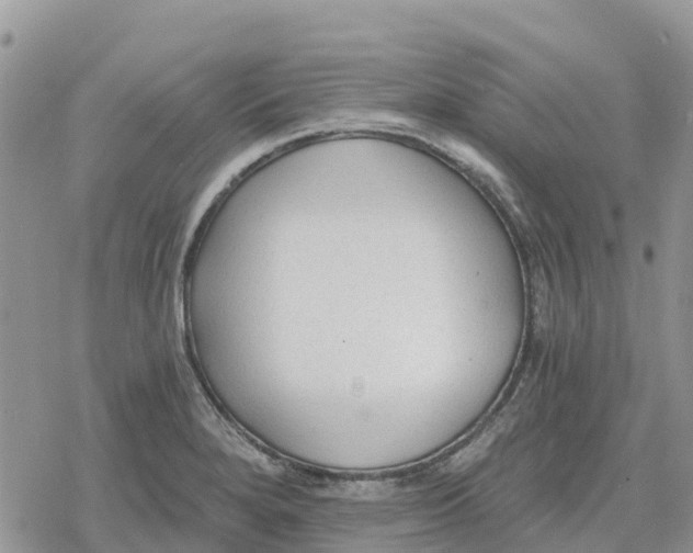 X0000078281280200611251409