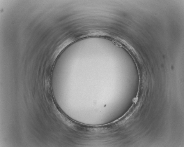 X0000078281281200611251409