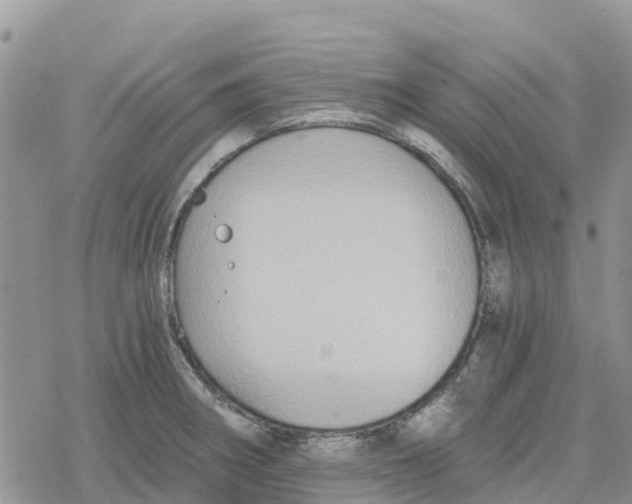 X0000078281282200611251409