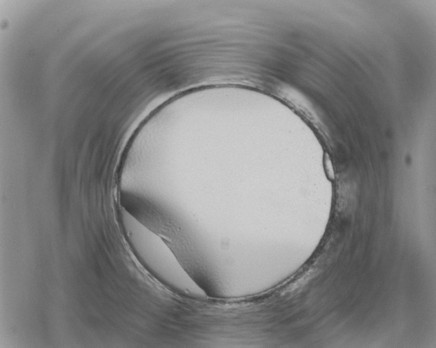 X0000078281284200611251409