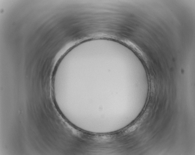 X0000078281286200611251409