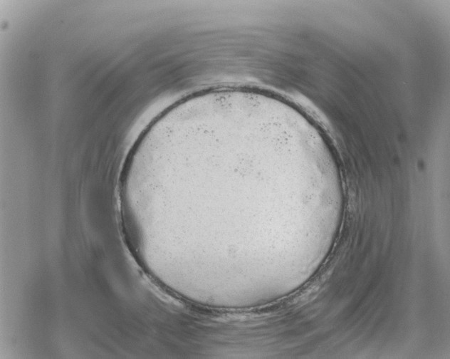 X0000078281287200611251409