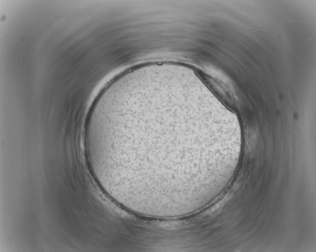 X0000078281288200611251409