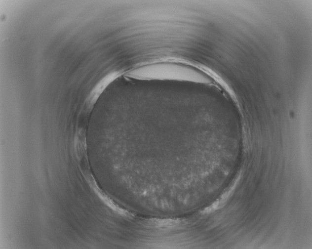 X0000078281289200611251409