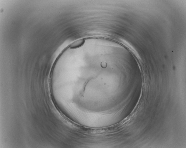 X0000078281291200611251409