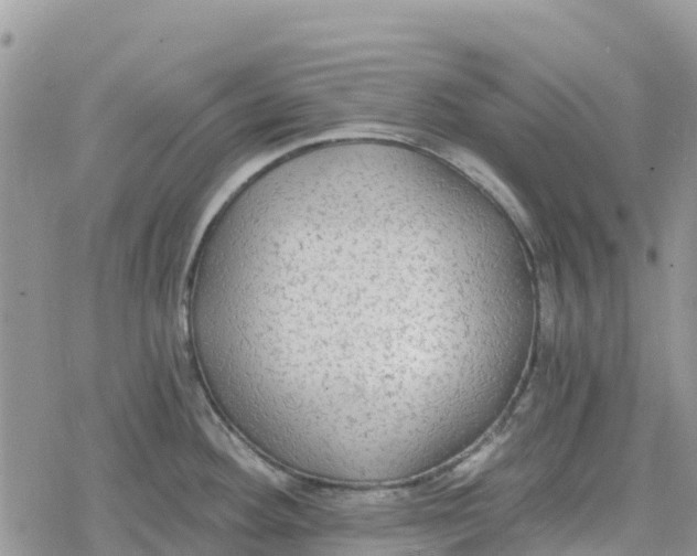 X0000078281292200611251409