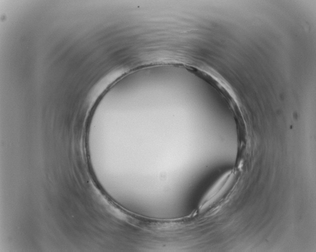 X0000078281293200611251409