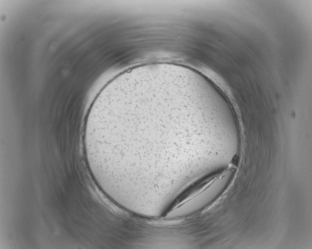 X0000078281296200611251409