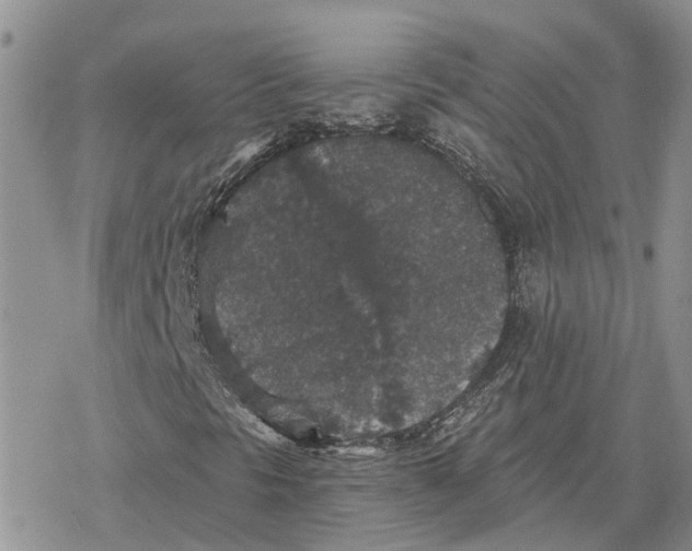 X0000078281297200611251408