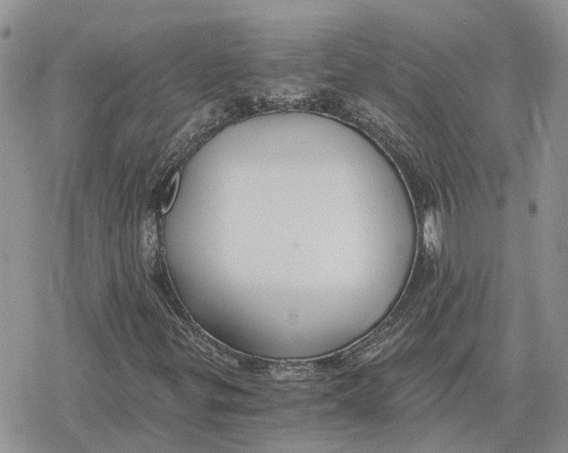 X0000078281299200611251408