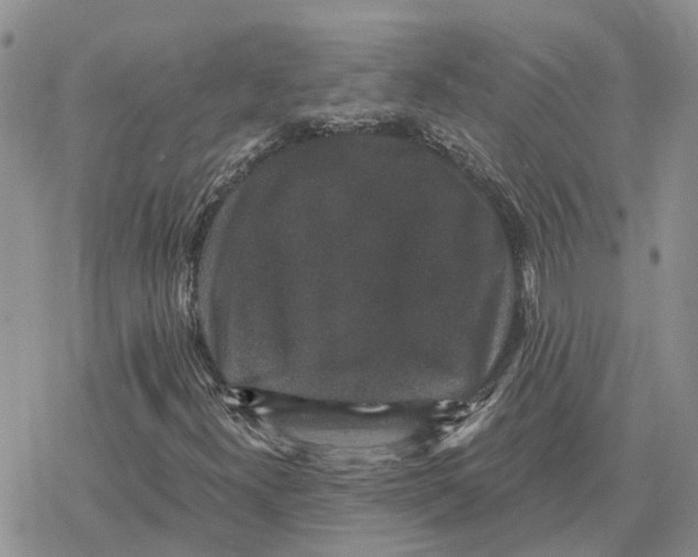 X0000078281300200611251408