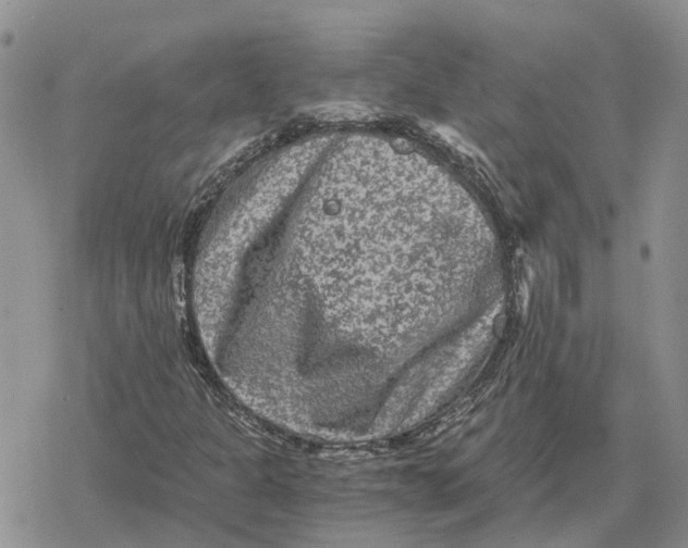 X0000078281301200611251408