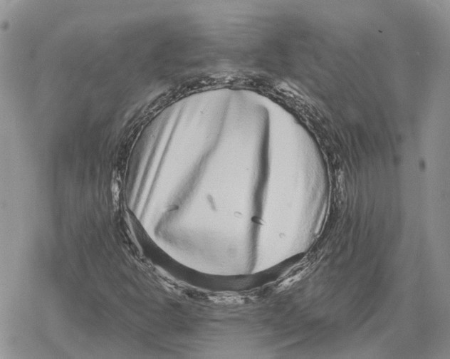 X0000078281302200611251408