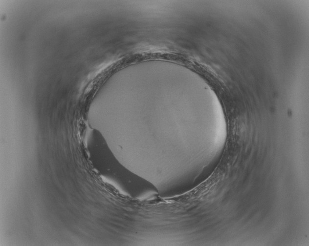 X0000078281303200611251408