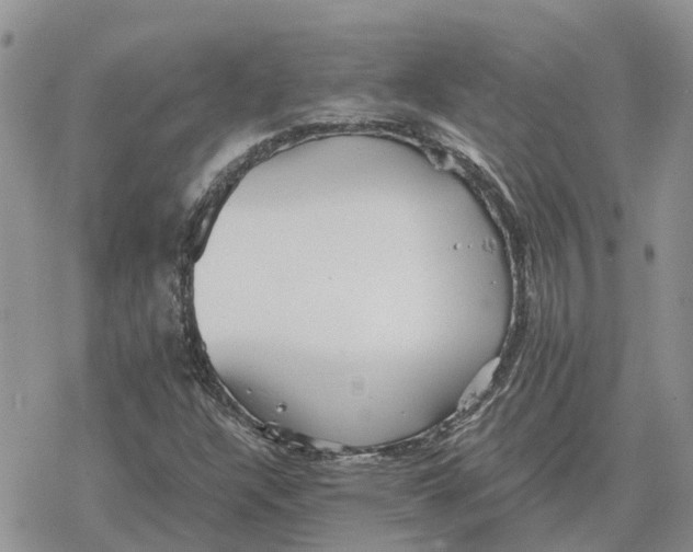 X0000078281304200611251408