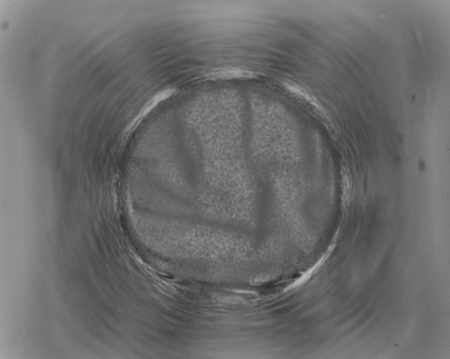 X0000078281305200611251408