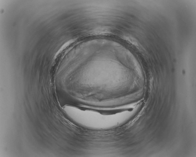 X0000078281306200611251408