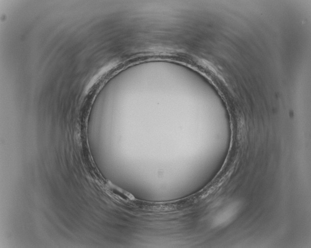 X0000078281307200611251408