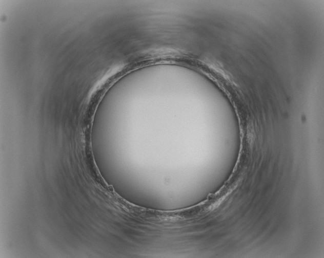 X0000078281309200611251408