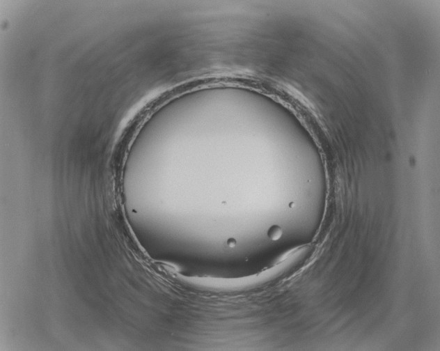 X0000078281310200611251408