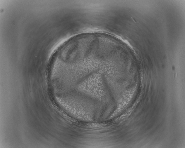 X0000078281311200611251408